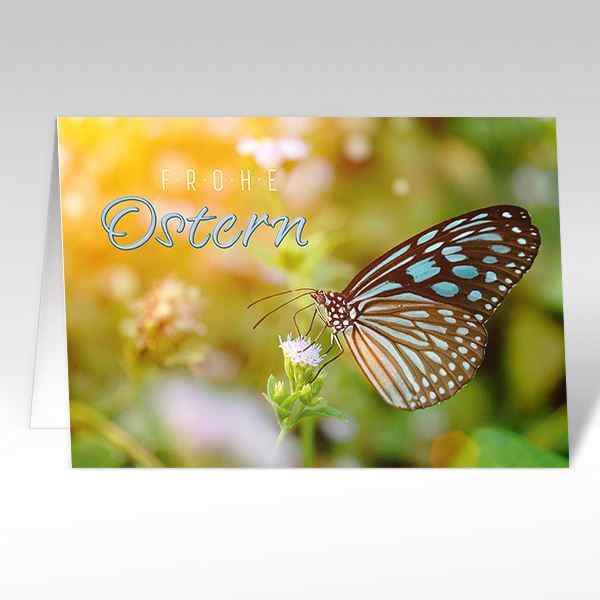 Osterkarten: Schmetterling mit Text "Frohe Ostern"