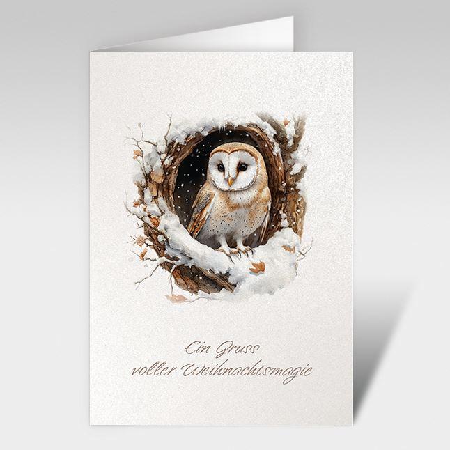 Weihnachtskarte "Schleiereule im Winterwald"